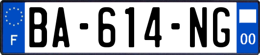 BA-614-NG