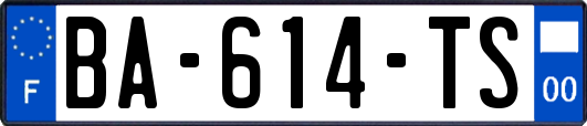 BA-614-TS