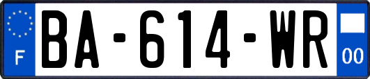 BA-614-WR