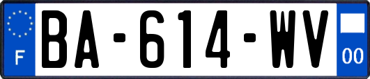 BA-614-WV