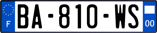 BA-810-WS