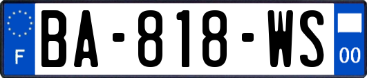 BA-818-WS