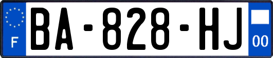 BA-828-HJ