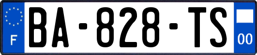 BA-828-TS