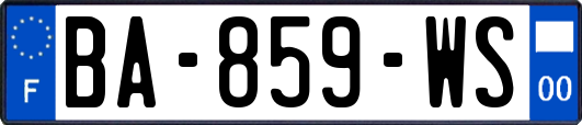 BA-859-WS