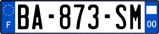 BA-873-SM