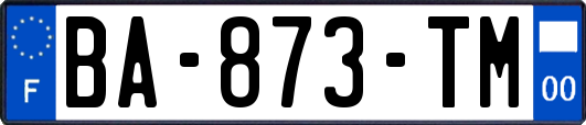 BA-873-TM
