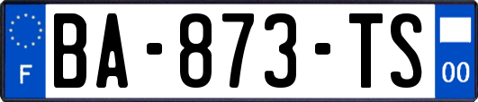 BA-873-TS