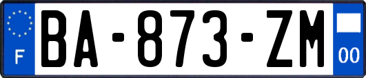 BA-873-ZM