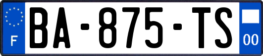 BA-875-TS