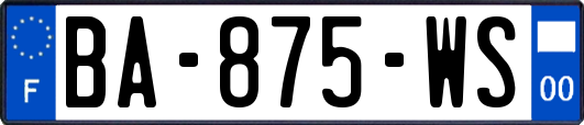 BA-875-WS