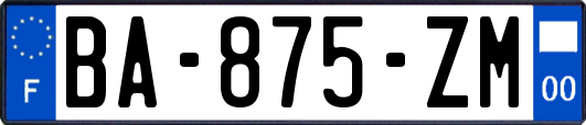 BA-875-ZM