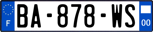 BA-878-WS