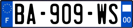 BA-909-WS
