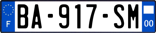 BA-917-SM