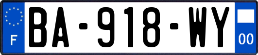 BA-918-WY