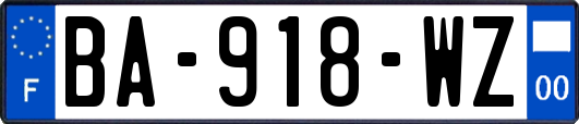 BA-918-WZ