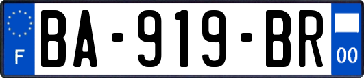 BA-919-BR