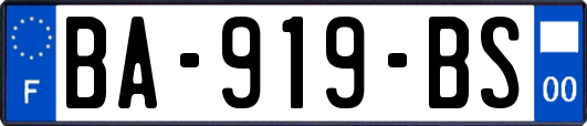 BA-919-BS