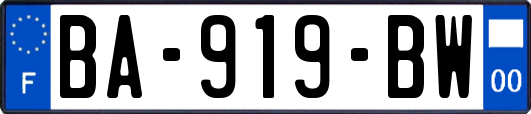 BA-919-BW