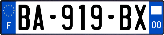 BA-919-BX