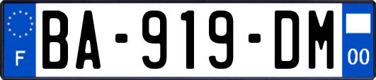 BA-919-DM