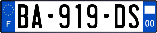 BA-919-DS