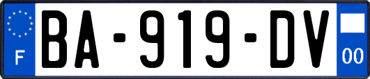 BA-919-DV