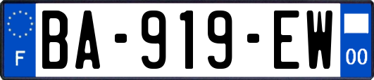 BA-919-EW