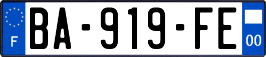 BA-919-FE