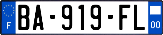 BA-919-FL