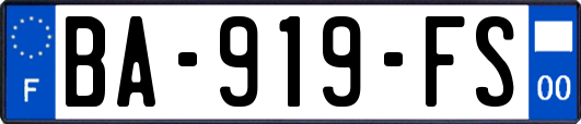 BA-919-FS
