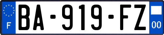 BA-919-FZ