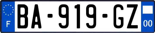 BA-919-GZ
