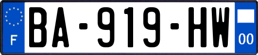 BA-919-HW