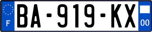 BA-919-KX