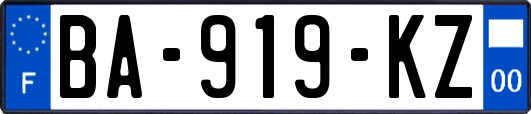 BA-919-KZ