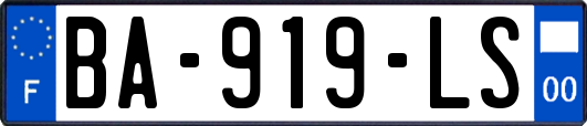 BA-919-LS