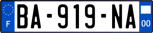 BA-919-NA