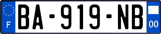BA-919-NB