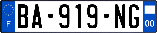 BA-919-NG