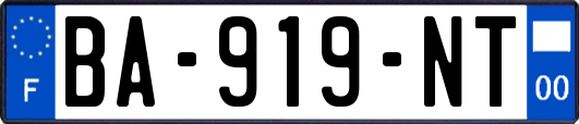 BA-919-NT