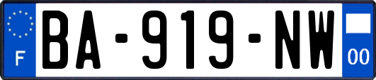 BA-919-NW