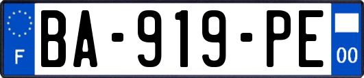 BA-919-PE