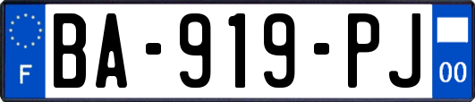 BA-919-PJ