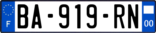 BA-919-RN