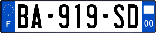BA-919-SD