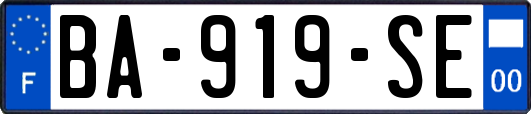 BA-919-SE