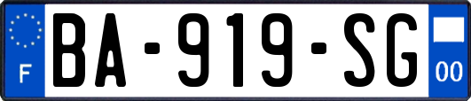 BA-919-SG