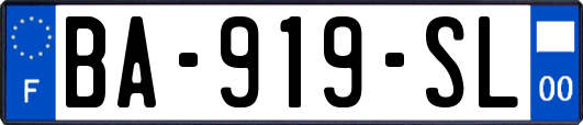 BA-919-SL